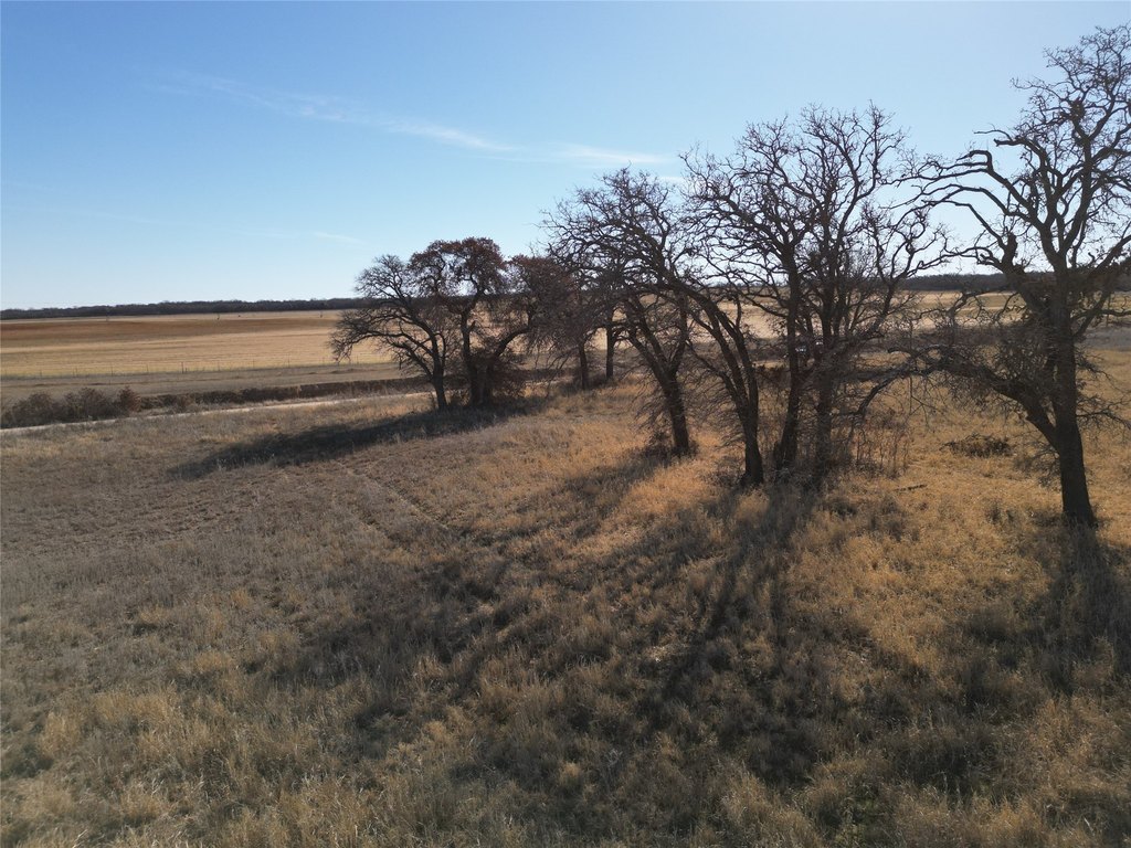 Picture 3