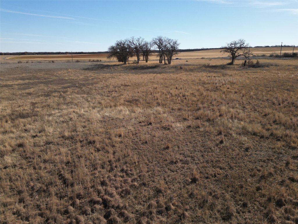 Picture 14