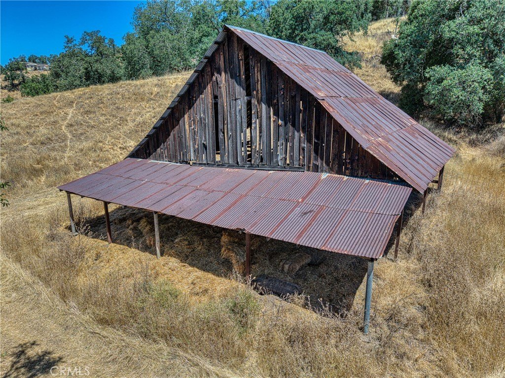 Picture 23