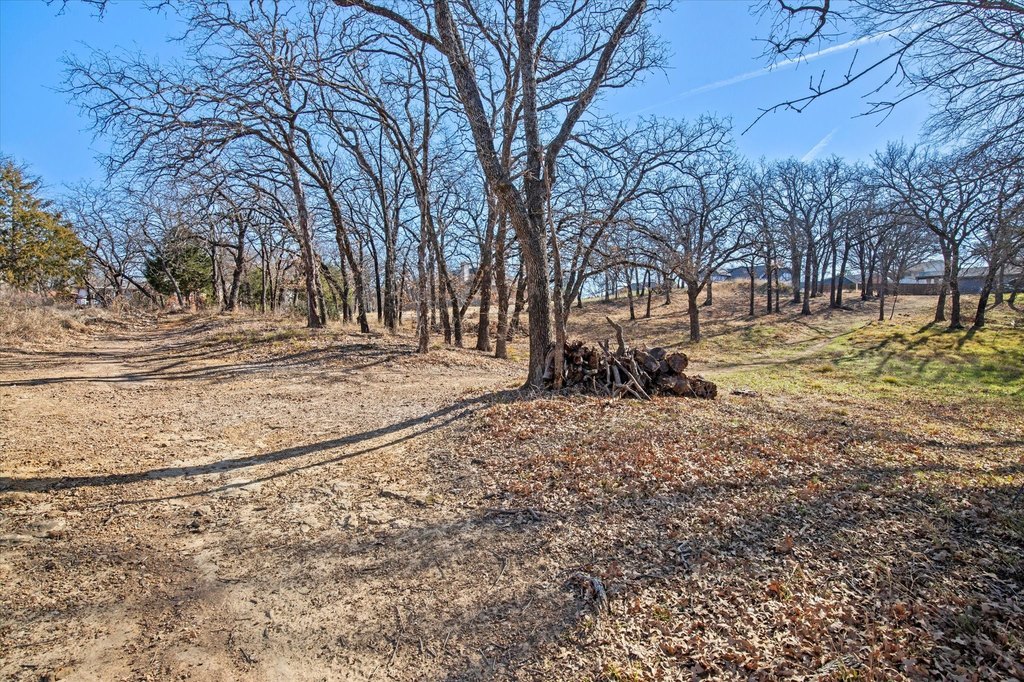 Picture 25