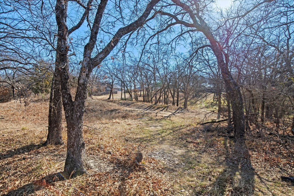 Picture 24
