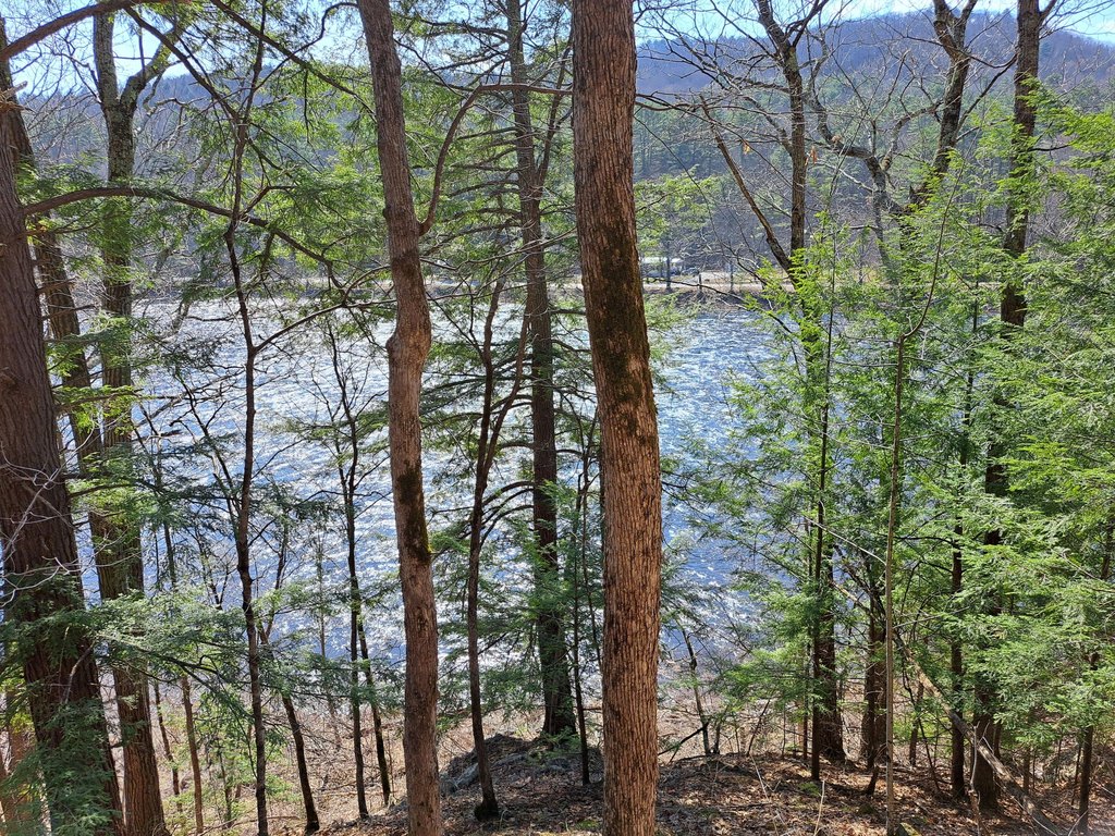 Picture 15