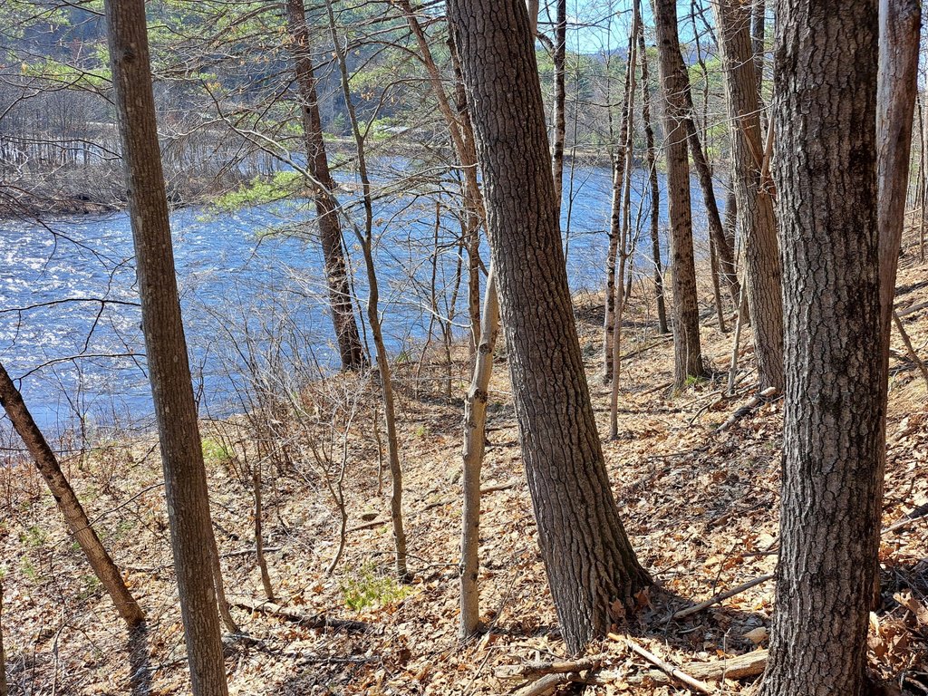 Picture 17