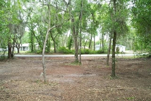 Picture 10