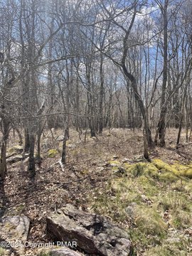 Land in Brier Crest Woods