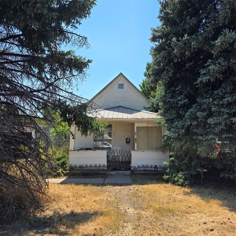 Picture 4