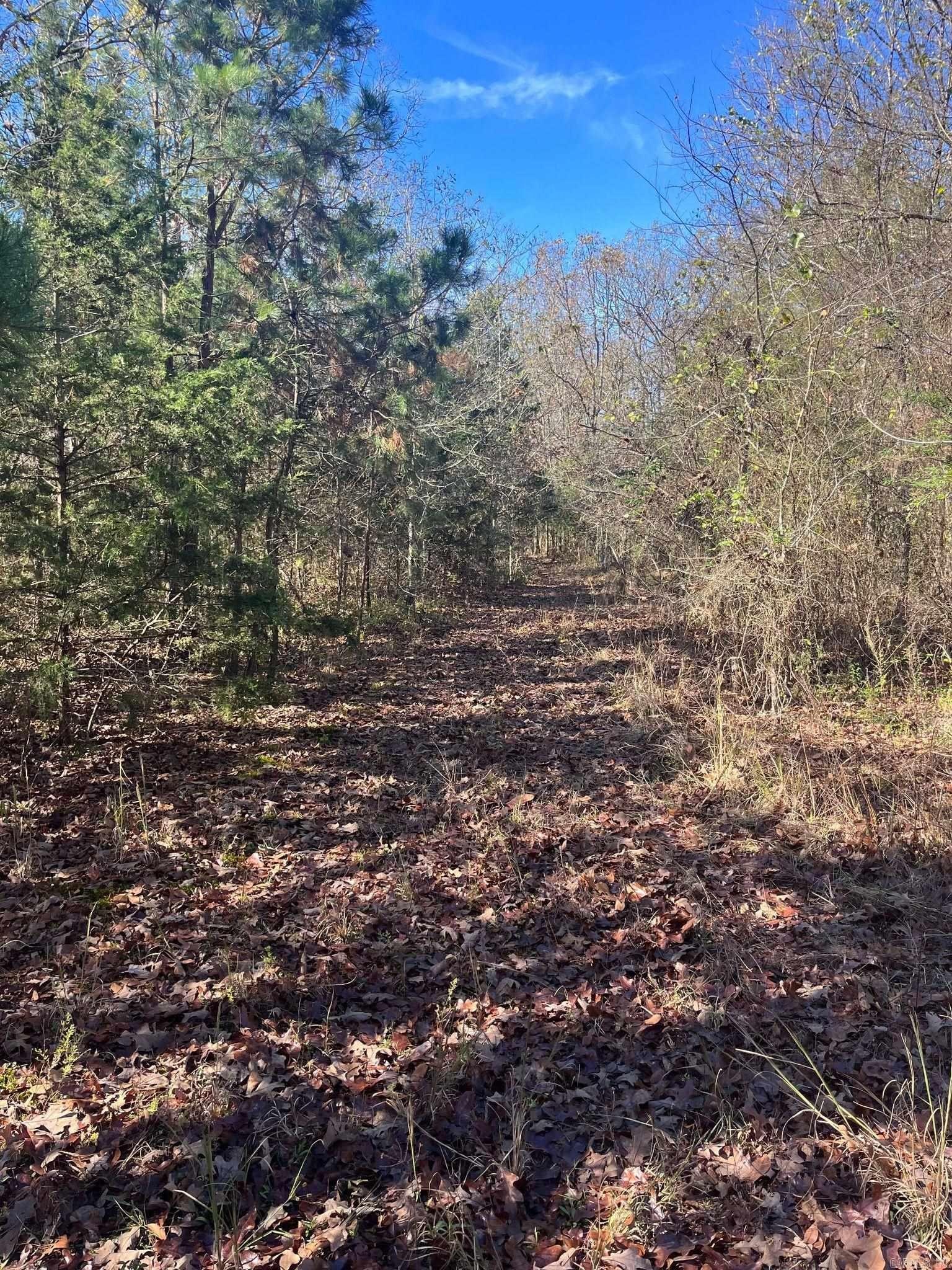 Wooded Land in Mena, Arkansas