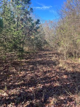 Wooded Land in Mena, Arkansas