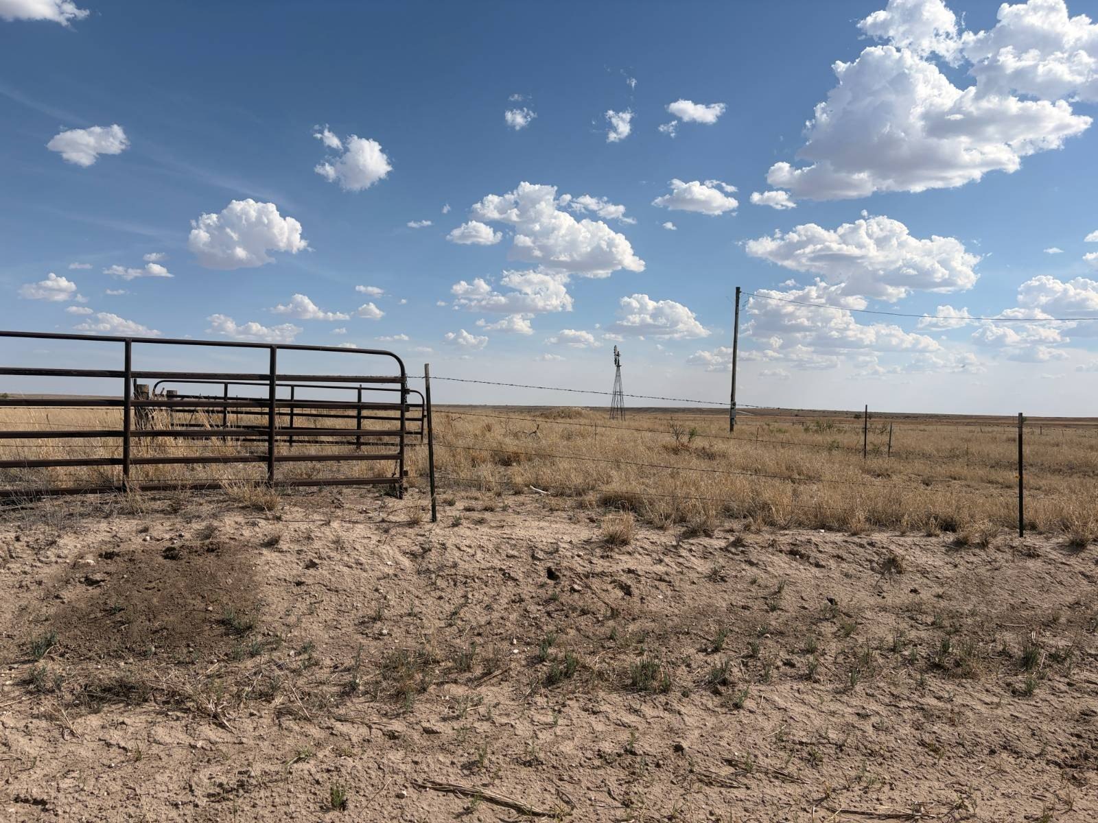 177 Acres of Farmland