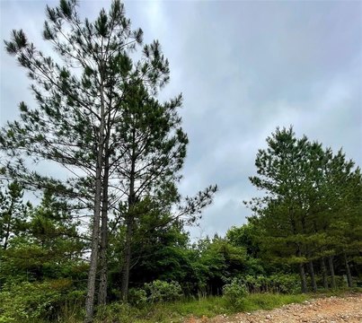 LAND - Broken Bow, OK