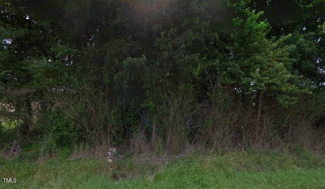 Wooded Lot in Kenly, NC