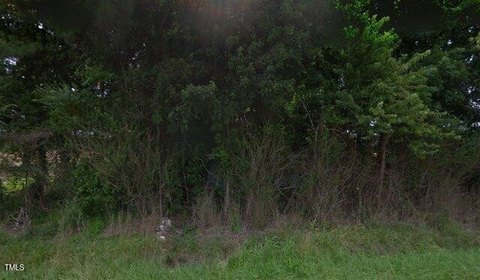 Wooded Lot in Kenly, NC