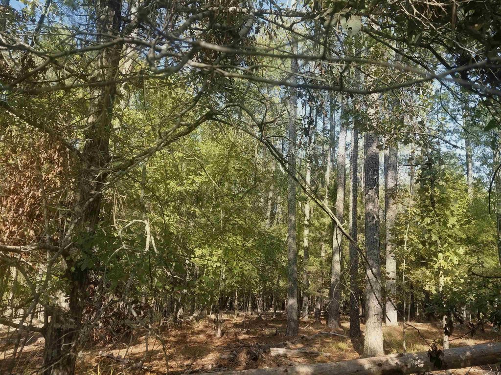 Picture 4