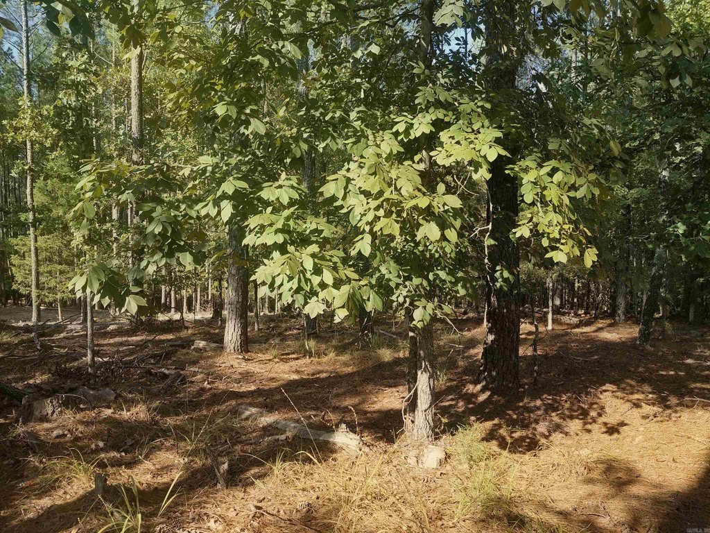 Picture 3