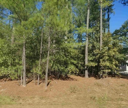 Vacant Land, Hot Springs Village, AR