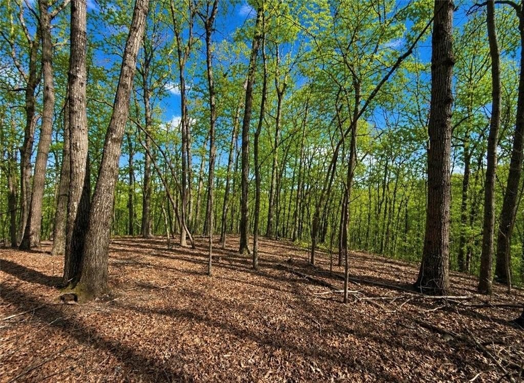 Jasper Homesite in Gated Community
