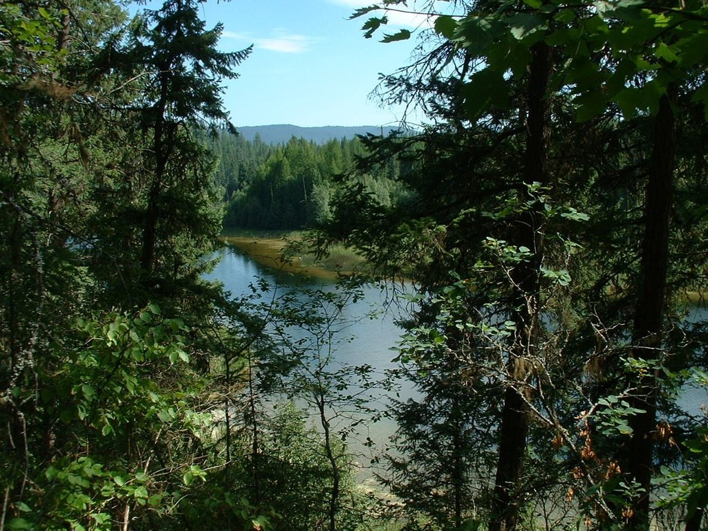 Picture 7