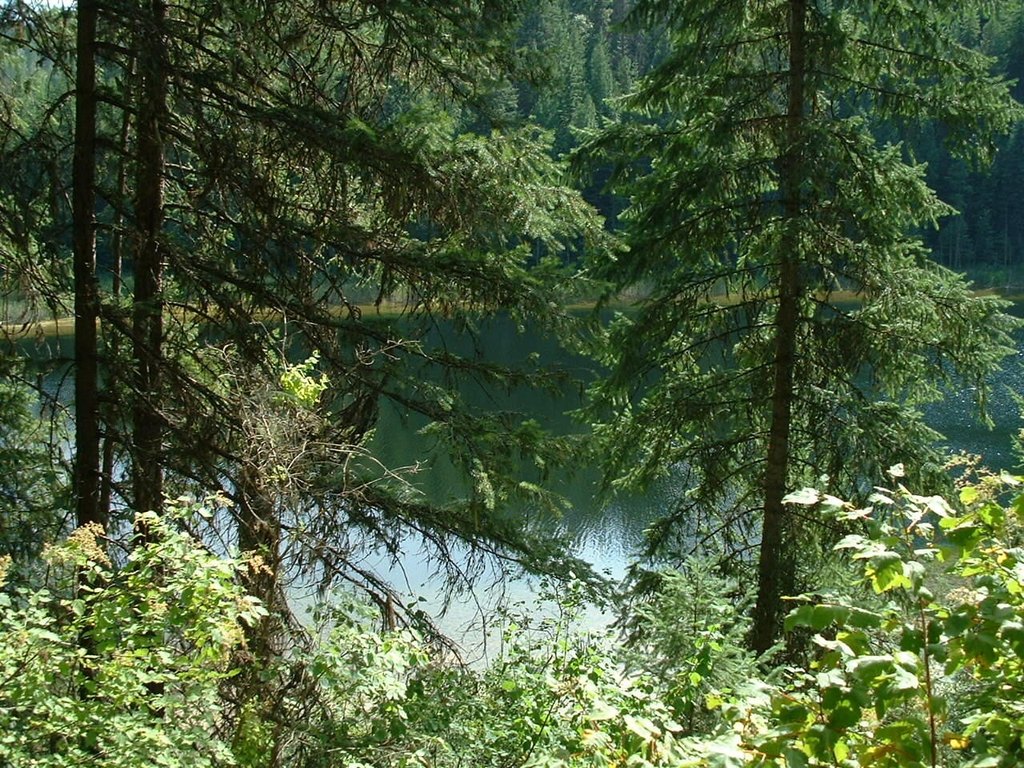Picture 6