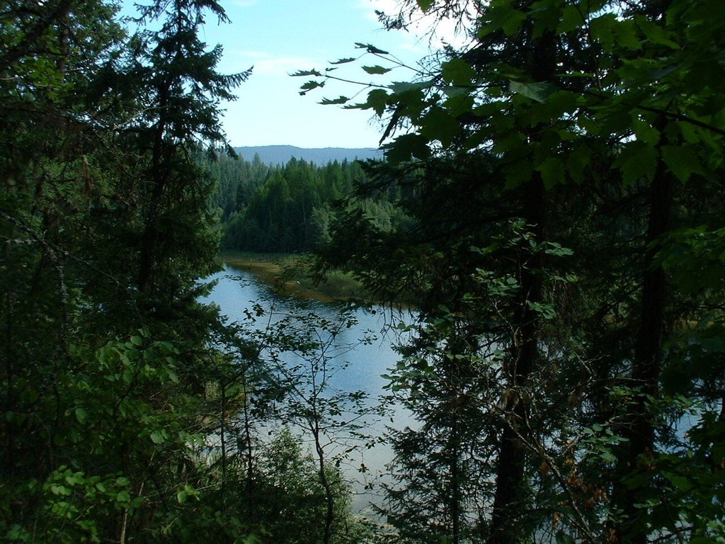 Picture 5