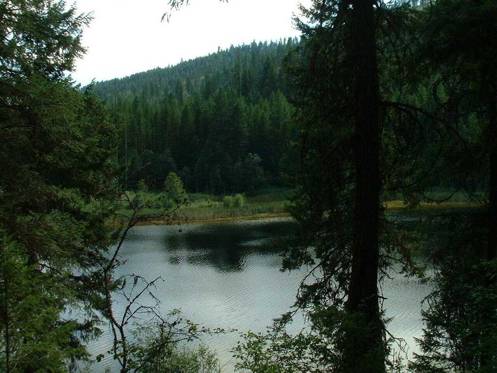 Picture 3