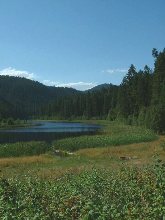 Picture 8
