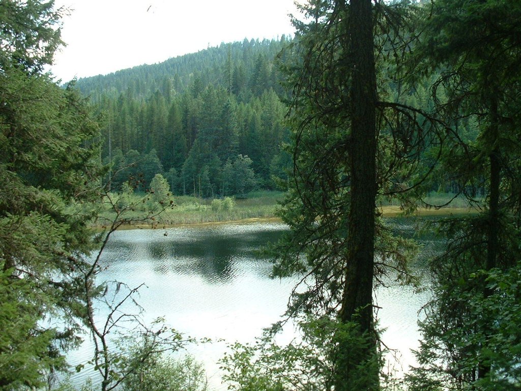 Picture 2