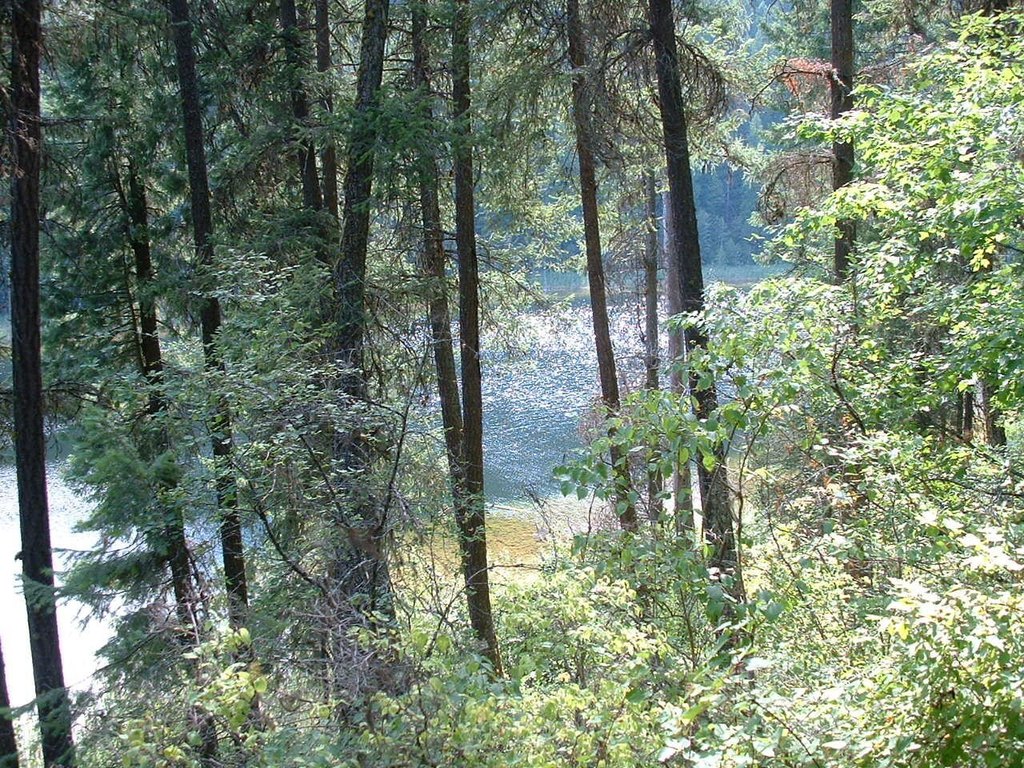 Picture 4
