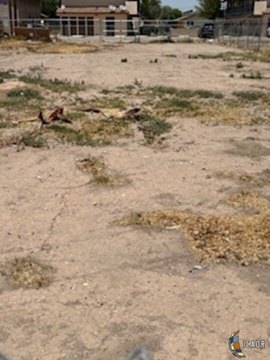 Commercial Land in El Centro