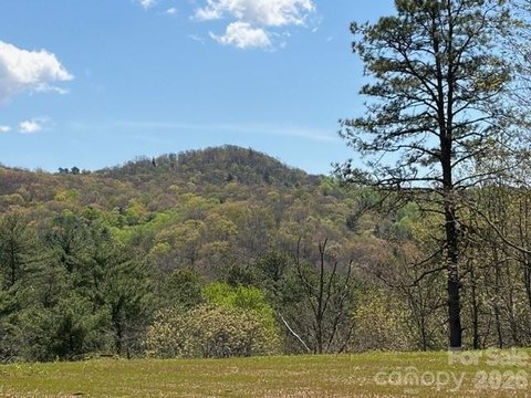 Unrestricted Land in Lake Toxaway
