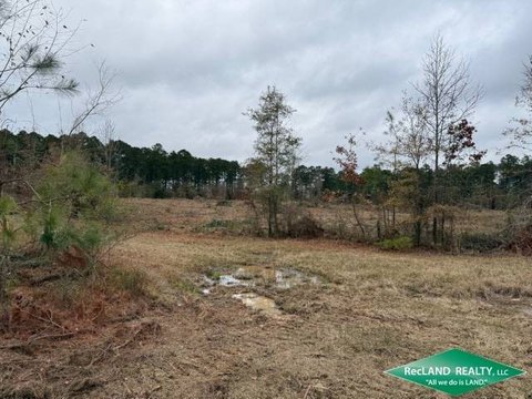 Clear-Cut Recreational Land Tract