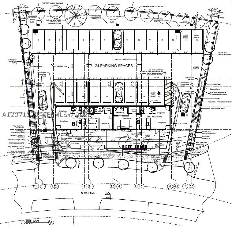 Picture 5