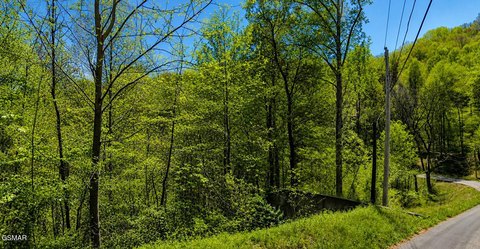 LAND - Sevierville, TN