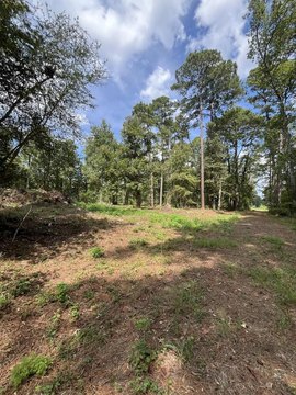 Land, Pineland, TX