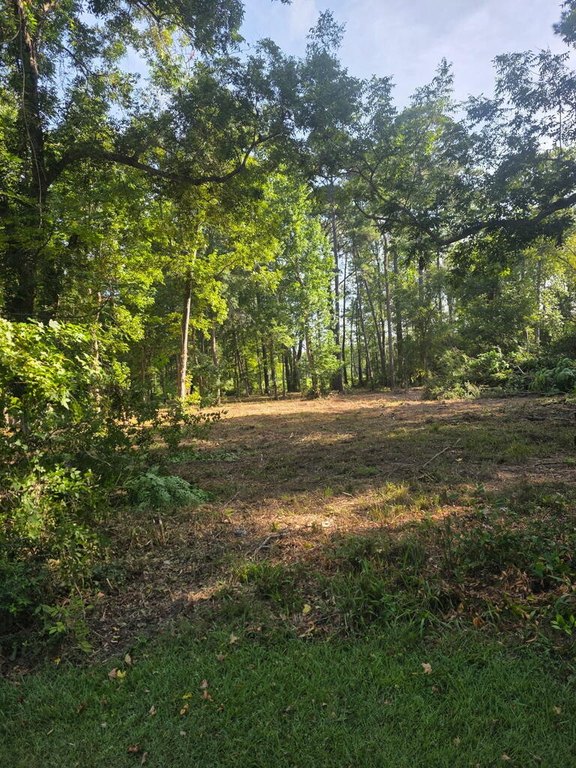 Picture 2