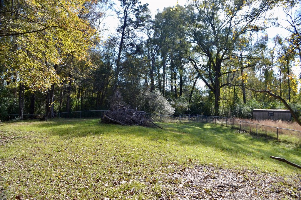 Picture 15