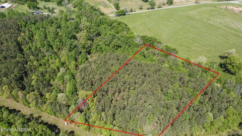 Loudon, TN Land Opportunity