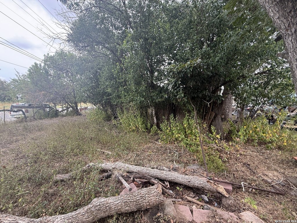 Picture 6