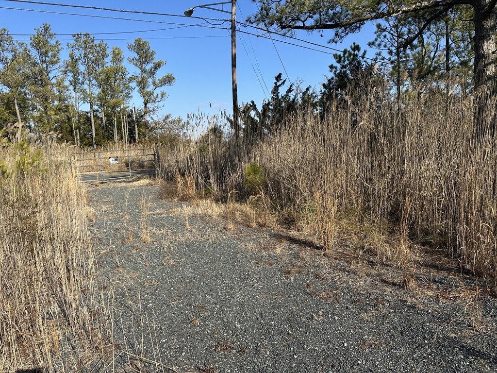 Picture 8