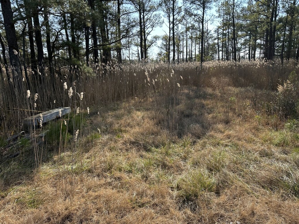 Picture 5