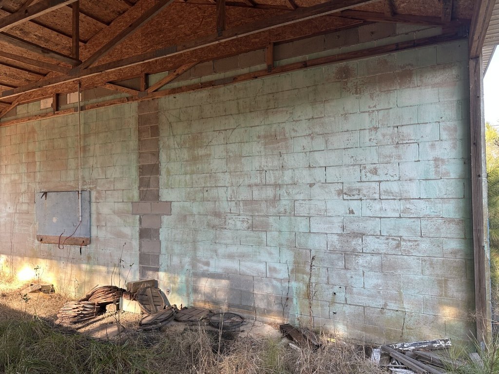 Picture 15