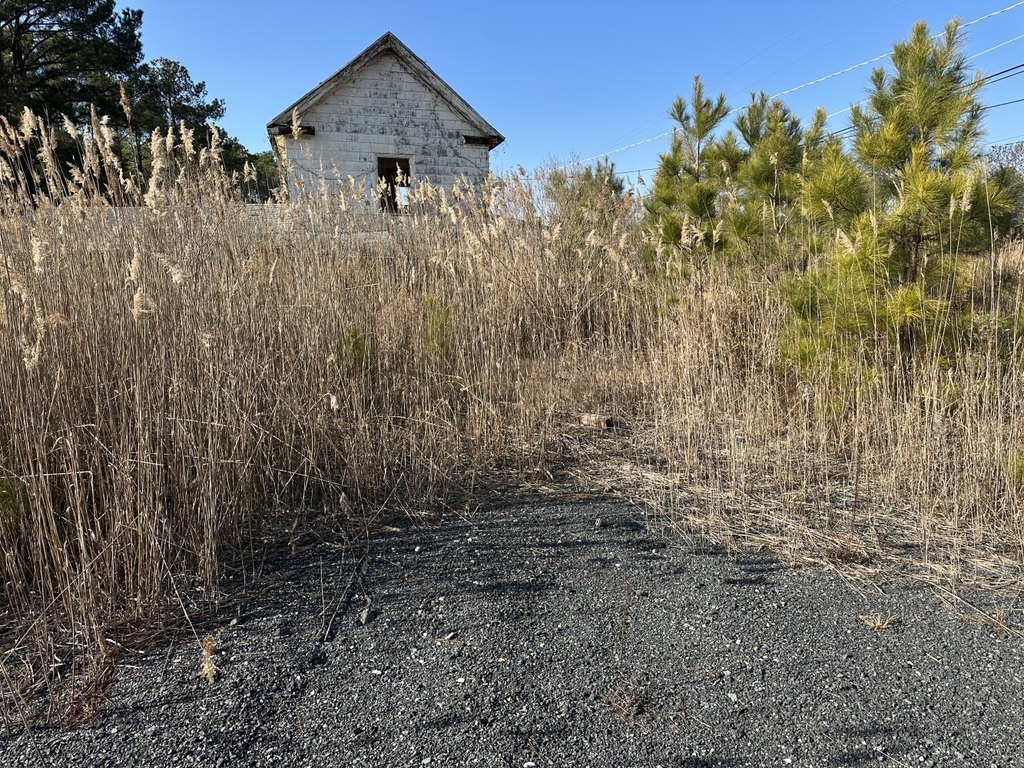Picture 9