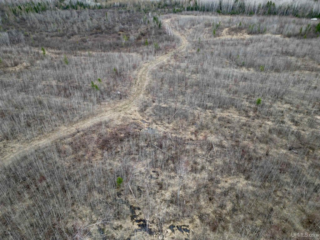 Picture 12