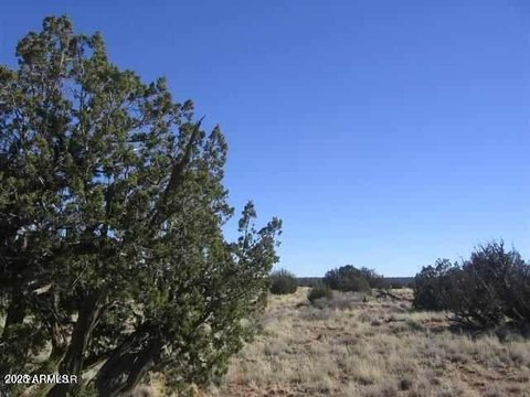 40 Acres in Rim Country