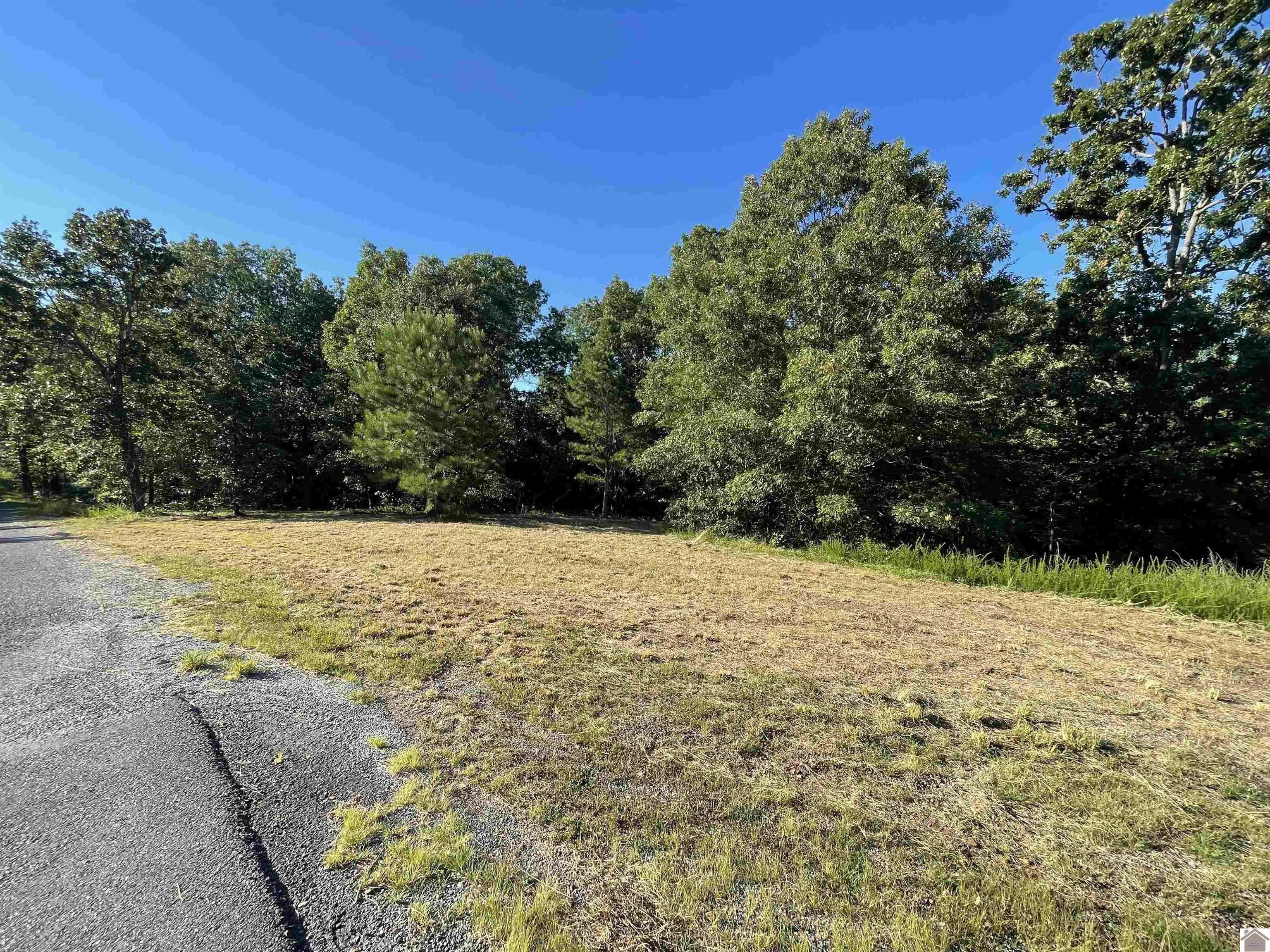 Kentucky Lake Residential Land