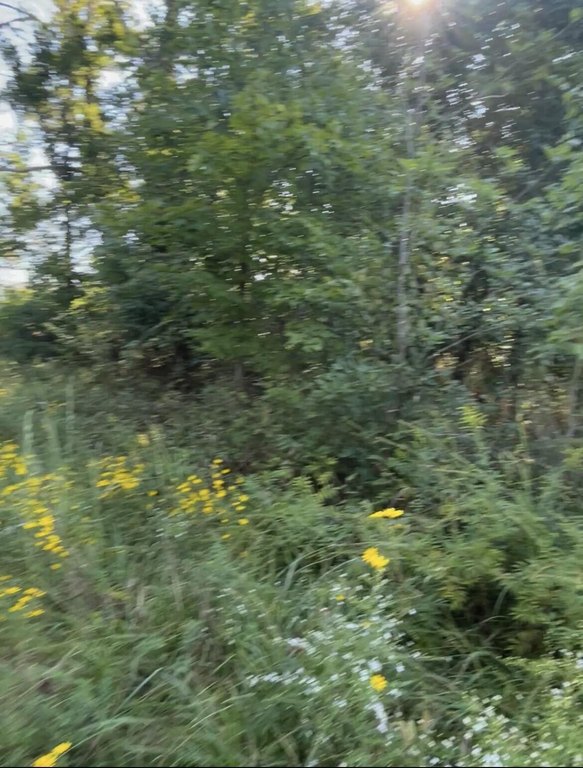 Picture 41