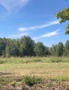 Agricultural Land with Open Fields
