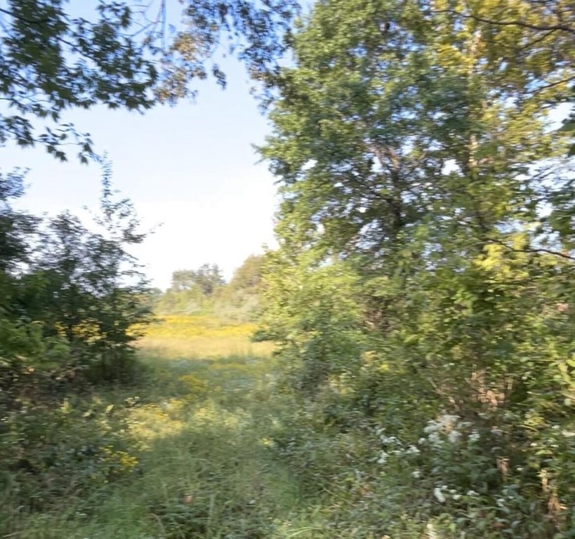 Picture 43