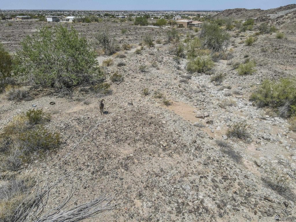 Picture 5