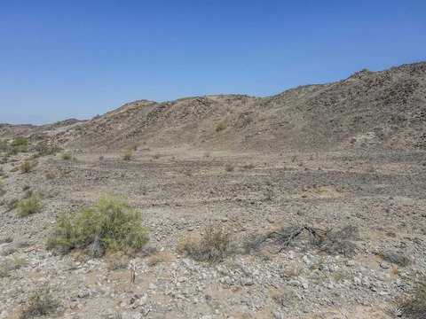 LAND - Yuma, AZ