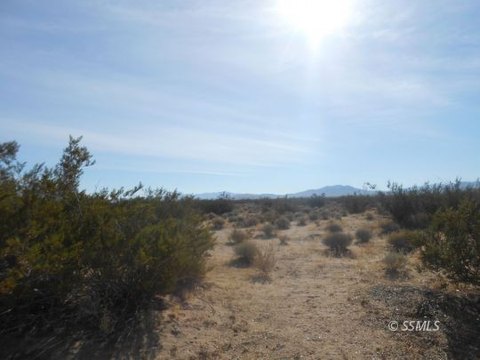 Inyokern Land For Sale